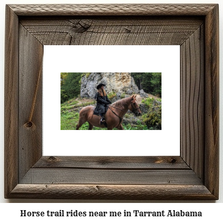 horse trail rides near me in Tarrant, Alabama